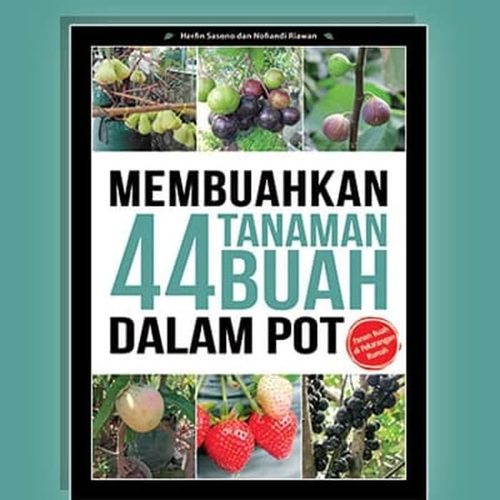 Membuahkan 44 Tanaman Buah Dalam Pot Agromedia Pustaka Buku Agronomy Buku Original Shopee Indonesia