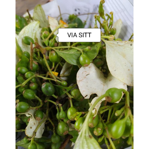 

buah kingkilban herbal per 250 grm