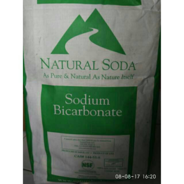 Jual Baking Soda Food Grade USA Repack 1kg Shopee Indonesia