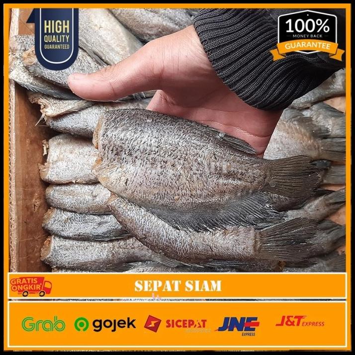 

Ikan Asin Sepat Siam Size Besar 500Gr Premium