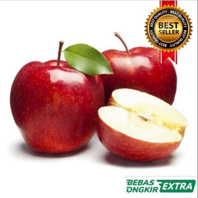 Bibit Apel Washington Hasil Okulasi+bonus bibit buah jeruk purut Cepat Berbuah