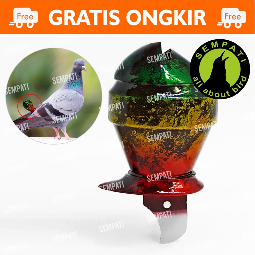 Jual Sawangan Merpati Jumbo Yakul Air Brush Sawangan Merpati Airbrush