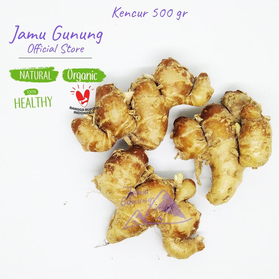 

Grade A!! Kencur Super 500gr - Lebih BERASA, BESAR dan SEGAR