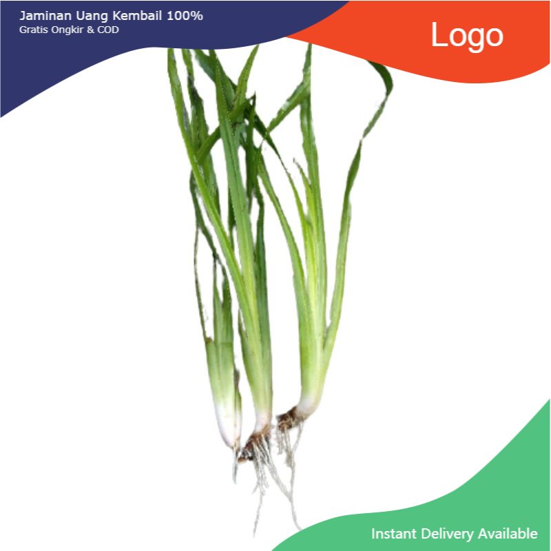 

Promo Daun dlingau 100gram segar delingo jeringau jaringao