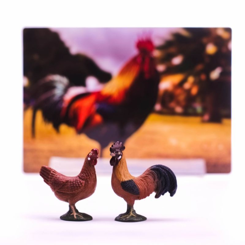 animal figure (ayam)