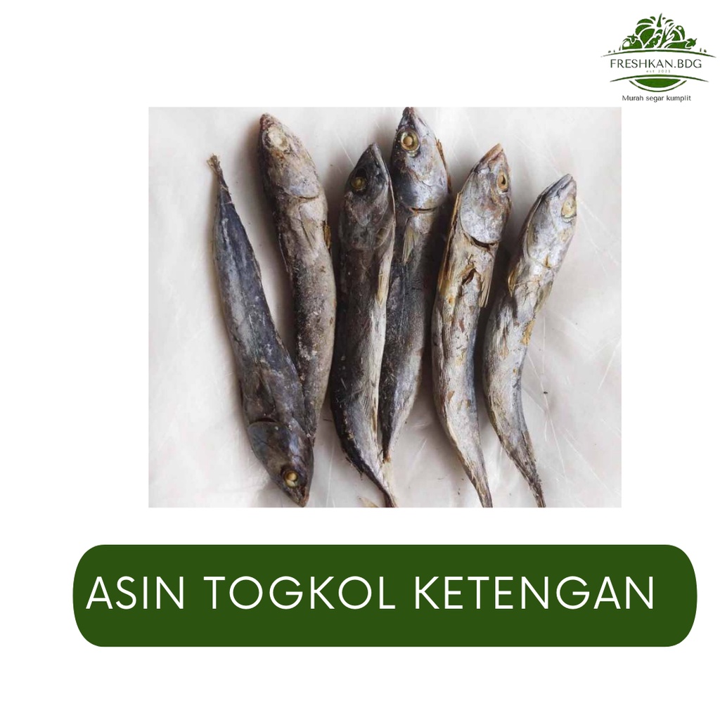 

IKAN ASIN TONGKOL KETENGAN