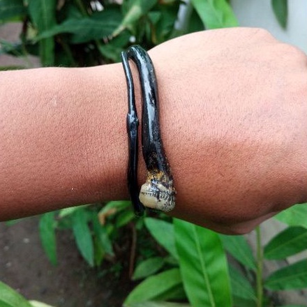 Gelang/Gelang akar bahar/Gelang akar bahar bonggol mini/Gelang akar bahar bogol kecil/gelang akar ba