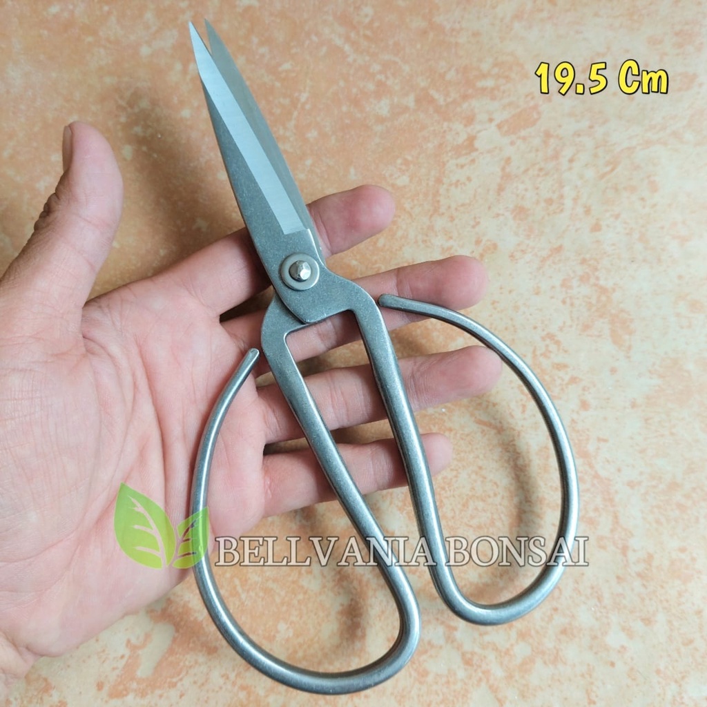 Gunting Prunning Dahan Dan Daun Stainless Steel Wu Scissor