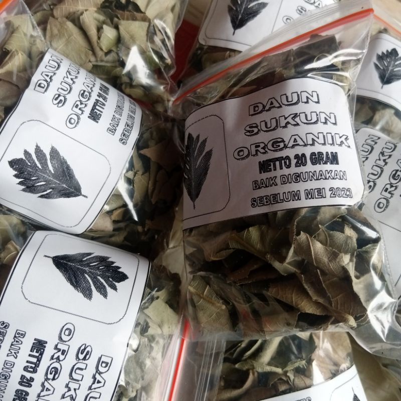 Daun Sukun Kering Organik 20 Gram Siap Seduh