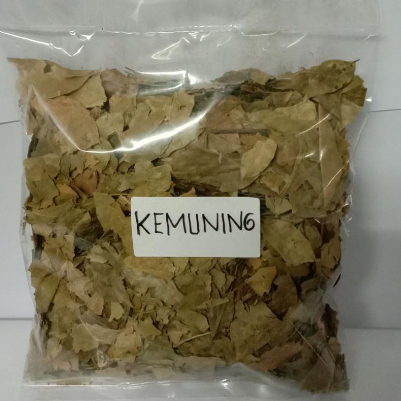 

Daun kemuning