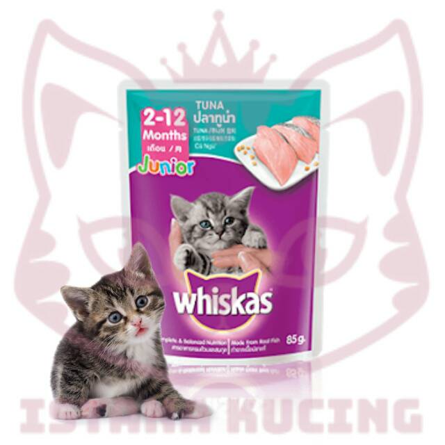 Whiskas Pouch Junior Tuna 85 Gr Makanan Kucing Untuk Kitten