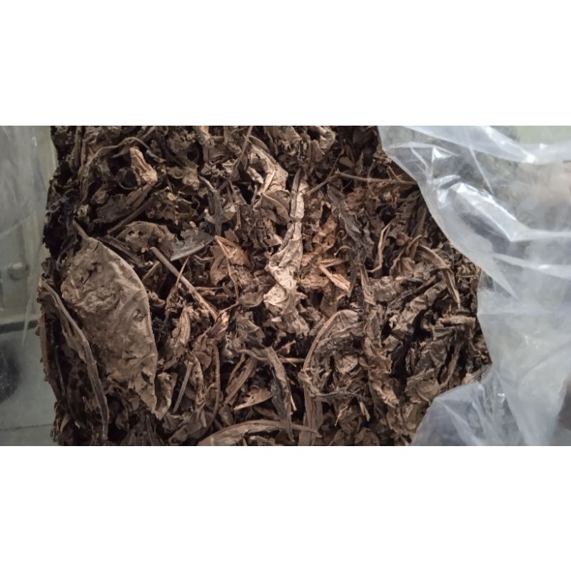 

Daun Srigunggu kering murni 250gr