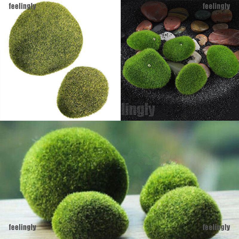 Tanaman Aquascape Terrarium Marimo Moss Ball Rumput Artificial