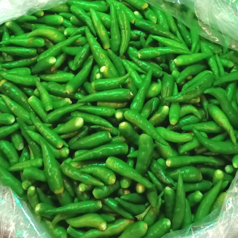 Cabe Rawit Hijau Petik 1 kg / Cabai Segar 1 kg