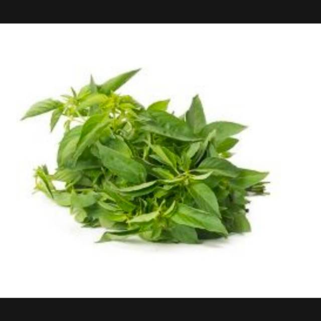 

Daun kemangi segar 100gr