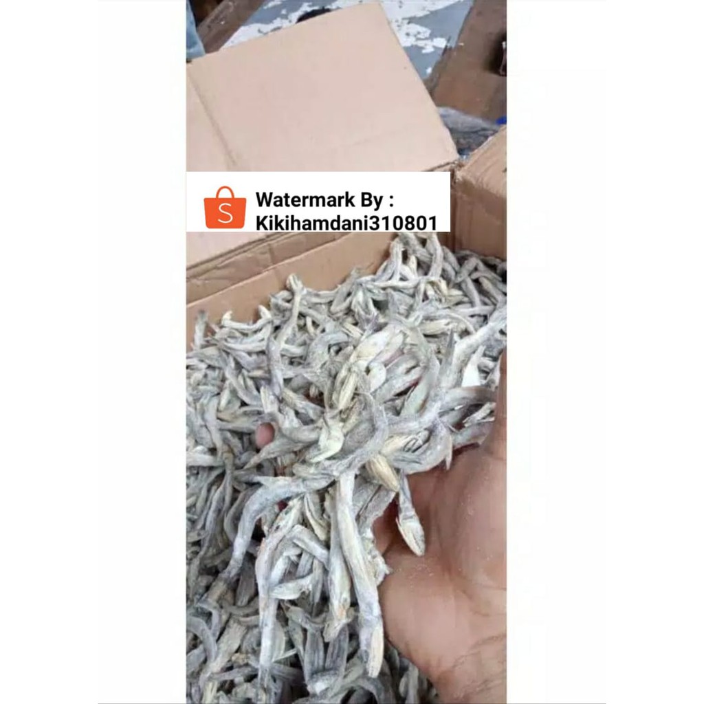 

Ikan Asin Kacangan 1 Kg