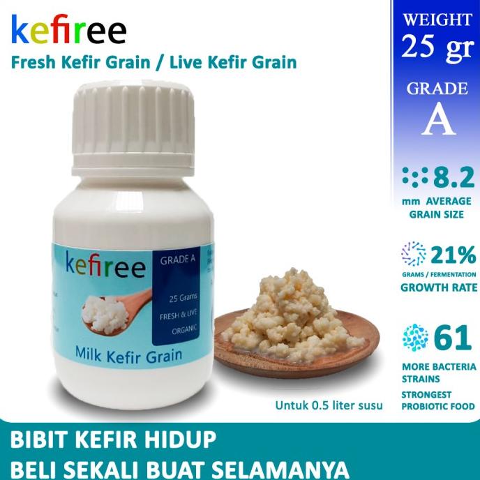 

100% BIBIT KEFIR HIDUP /KEFIR GRAIN (FRESH ORGANIC) GRADE A - KEFIREE