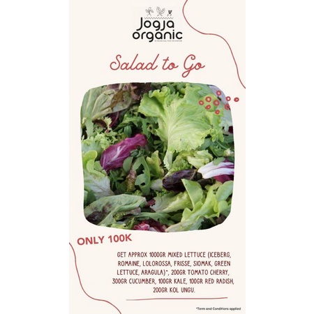 

SALAD TO GO BUNDLING