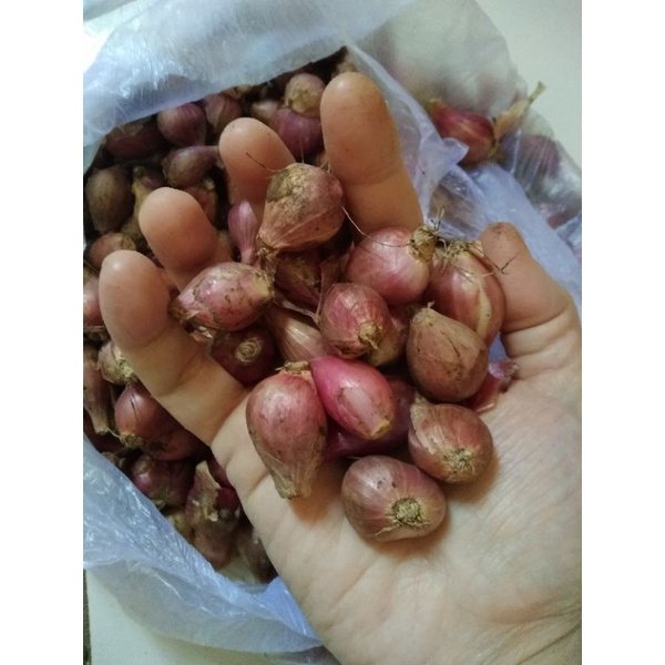 

bawang merah 250 gram