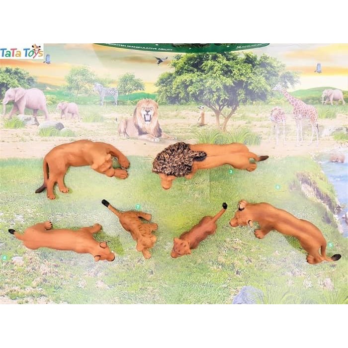 Unduh 7700 Koleksi Background Anak Singa Gratis Terbaru