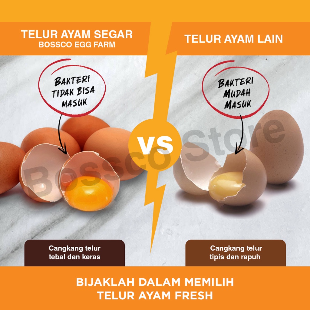 Telur Ayam Negeri Grade A ( Premium ) Segar / Fresh 1KG  / telor ayam negeri chicken egg telur ayam premium telur ayam langsung dari ternak telur segar telur fresh telur ayam segar telur ayam berkualitas telur ayam bebas bakteri telor ayam segar fresh