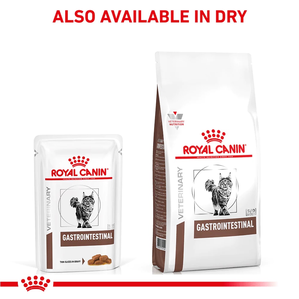 royal canin gastrointestinal cat wet