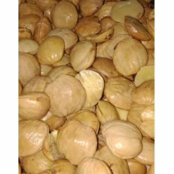 

Jengkol Rebus - 250 Gram