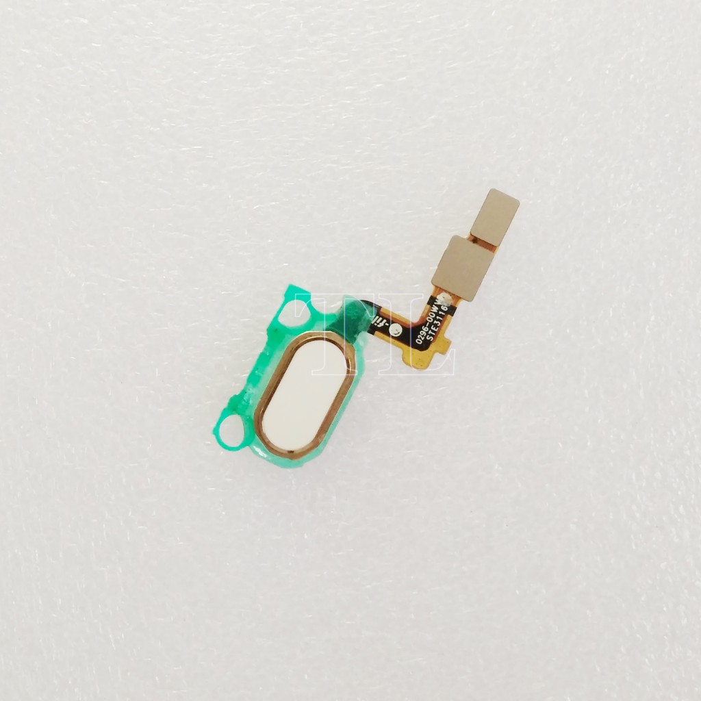 FL OPO F1S HOME WHITE FLEXI