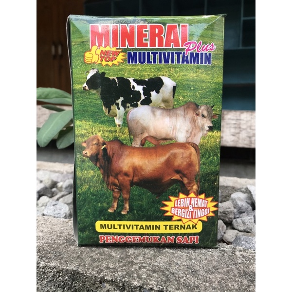 Mineral Plus Multivitamin Penggemukan Sapi 1Kg