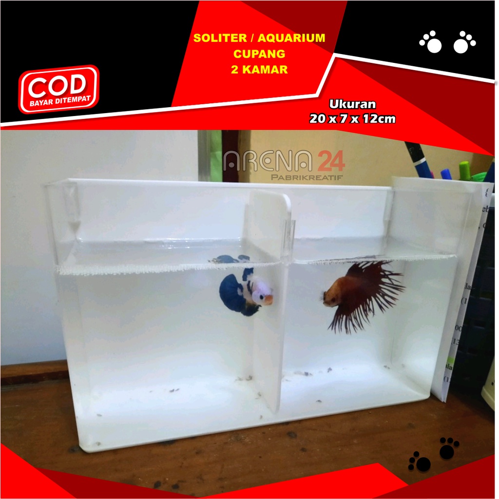 AQUARIUM / SOLITER AKRILIK / SOLITER CUPANG ACRYLIC / IKAN CUPANG