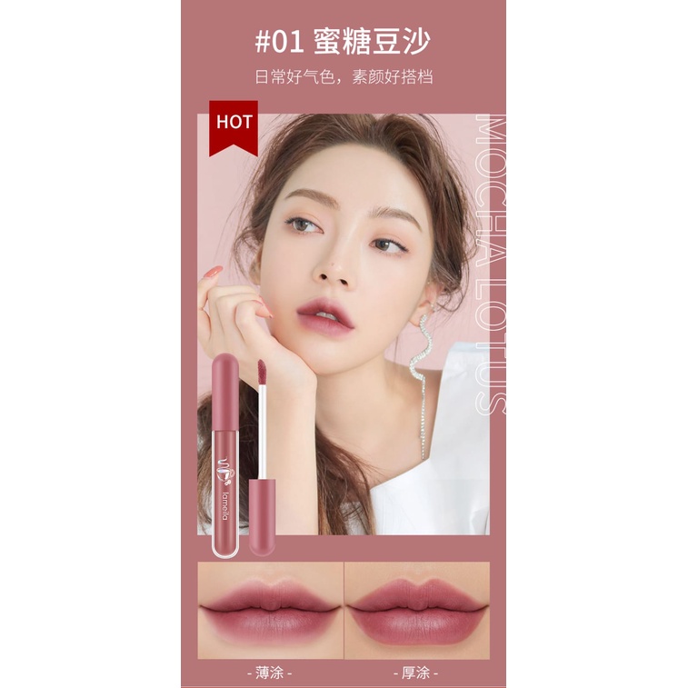 Lameila Lip Glaze Matte Lipstick Anti Air Lipstik Velvet Lip Gloss DJ 1041