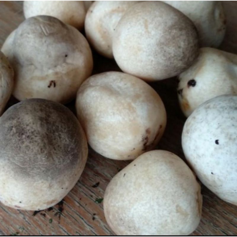 Jamur merang segar fresh 1kg