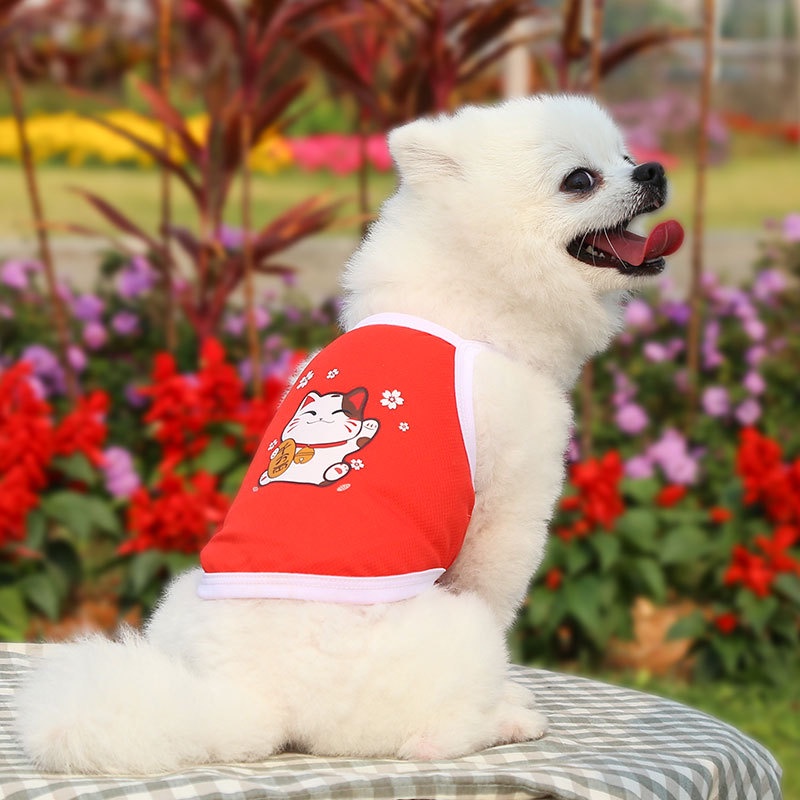 Pet Clothes T Shirt Summer Motif Lucu Untuk Anjing Dan Kucing