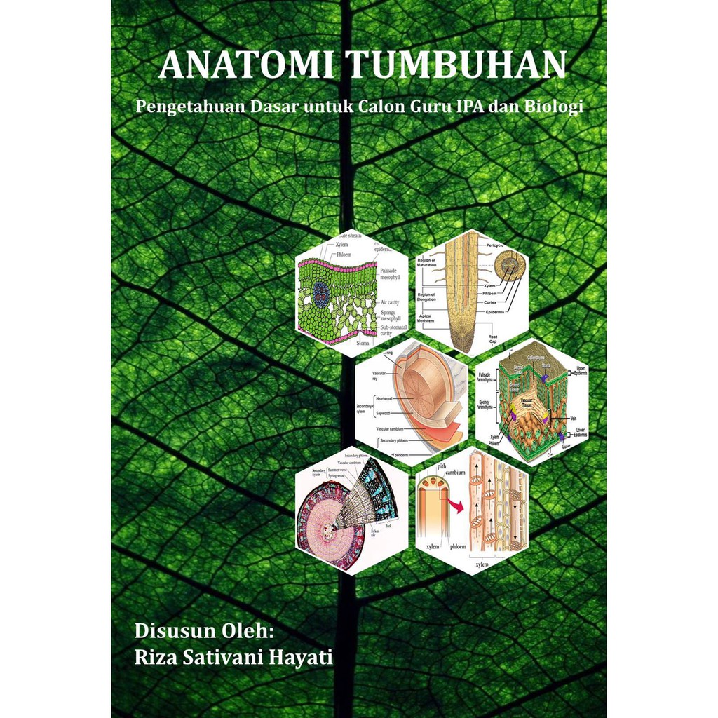 Jual Buku Anatomi Tumbuhan Pengetahuan Dasar Untuk Calon Guru IPA Dan ...