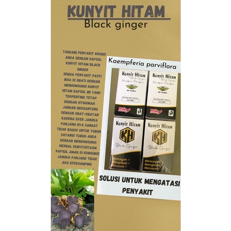 Kunyit Hitam/Black Ginger kapsul promo 40botol