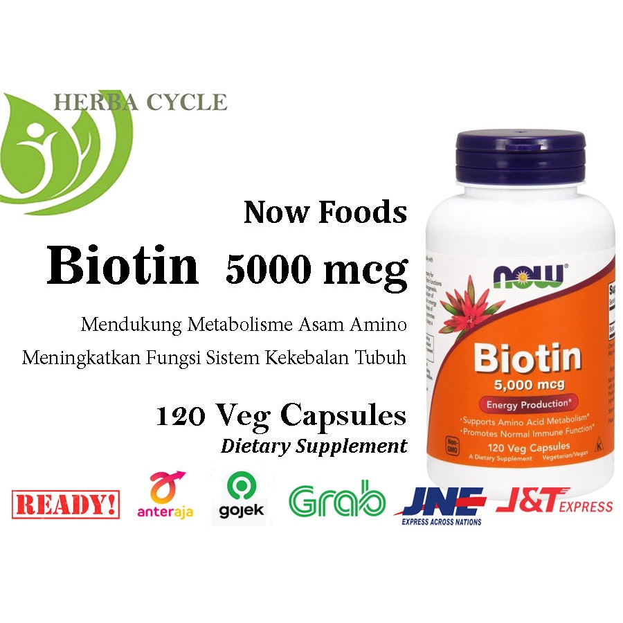 Now Foods Biotin 5000 mcg 120 Veg Capsules Ori USA Now Biotin 5000