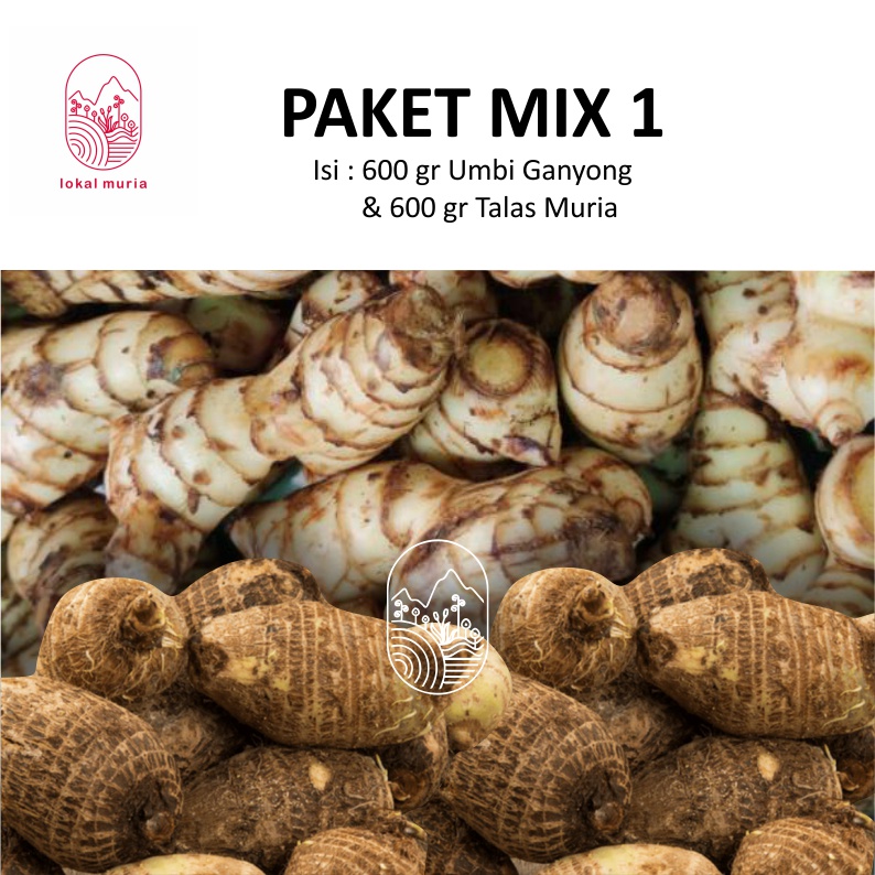 

PAKET MIX 1 UMBI GANYONG DAN TALAS MURIA