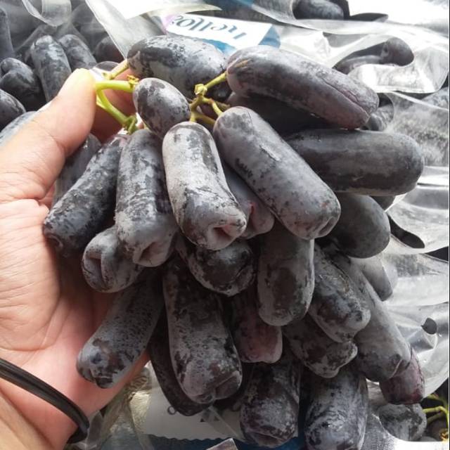 

Anggur saphire 100 per 900 gram