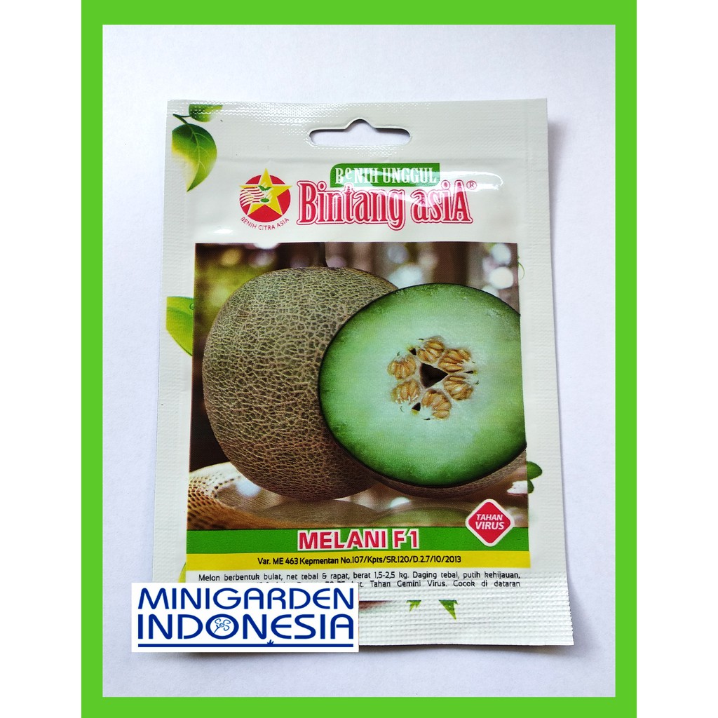 MELON HIJAU MELANI 0.5 Gram PACK KECIL Benih biji bibit Melon F1 Bintang Asia Tanaman Buah