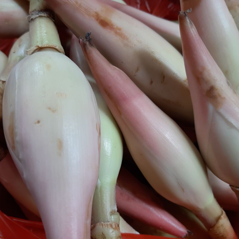 

sayur kincung 100% asli medan berat 250 gram