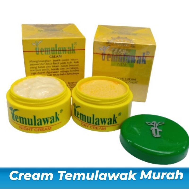 CREAM WAJAH TEMULAWAK DAY &amp; NIGHT BLING² Original