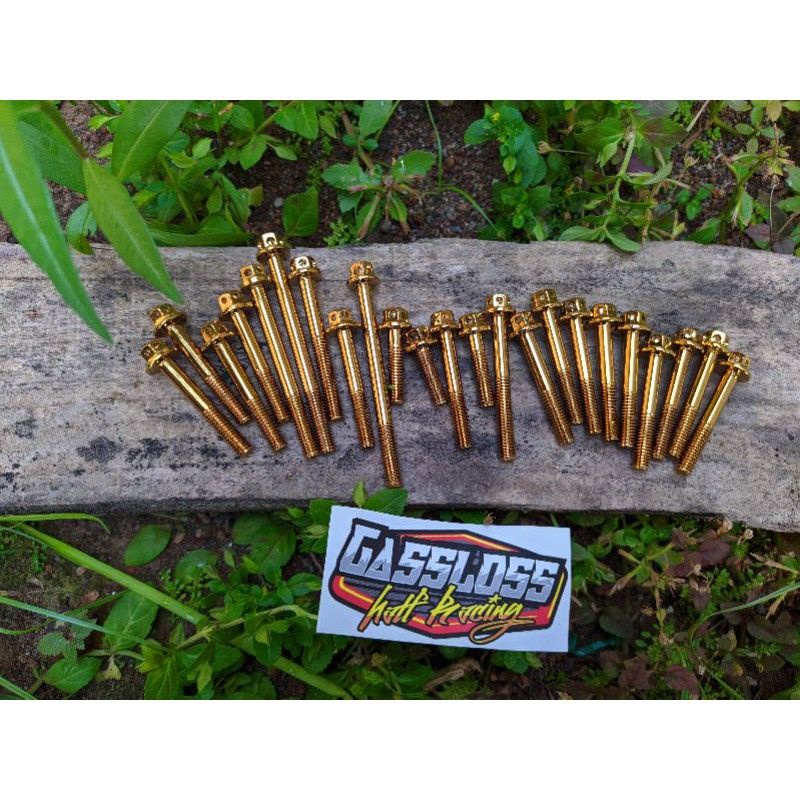 BAUT PROBOLT BAK KANAN KIRI TIGER BAUT PROBOLT BAK MAGNET BAUT BAK KOPLING KINGNUT & PSI