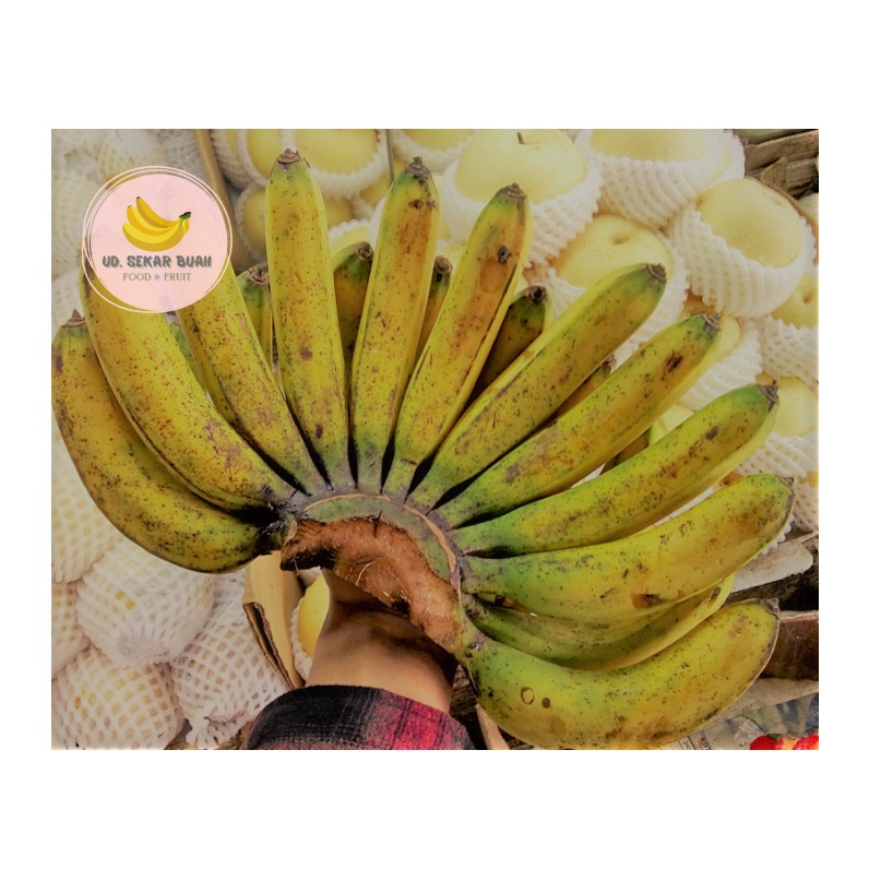 

PISANG BARANGAN MEDAN