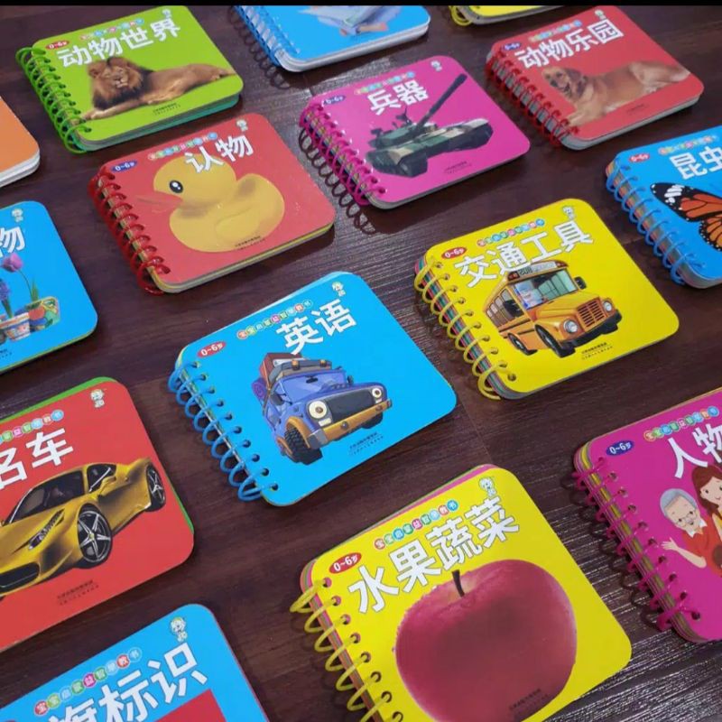 FLASH CARD KARTU BELAJAR ANAK BAHASA MANDARIN INGGRIS GROSIR