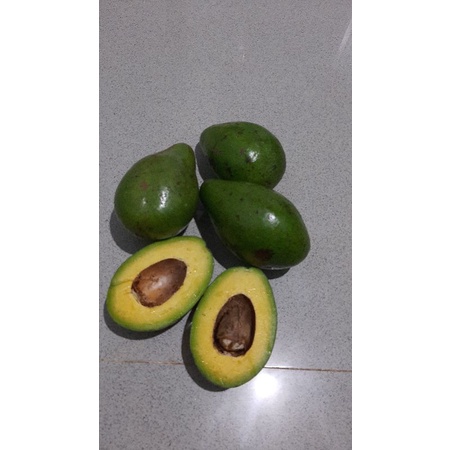 

alpuket Mentega