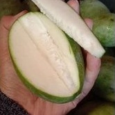 

Ready Aneka Jenis Mangga Muda/Rujak Segar 1 Kg