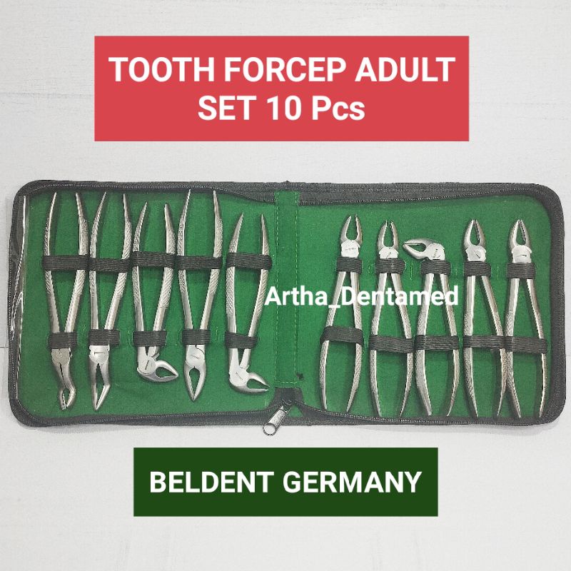 Tang cabut gigi dewasa set / TCD / Tooth forcept adult set ( BELDENT GERMANY )