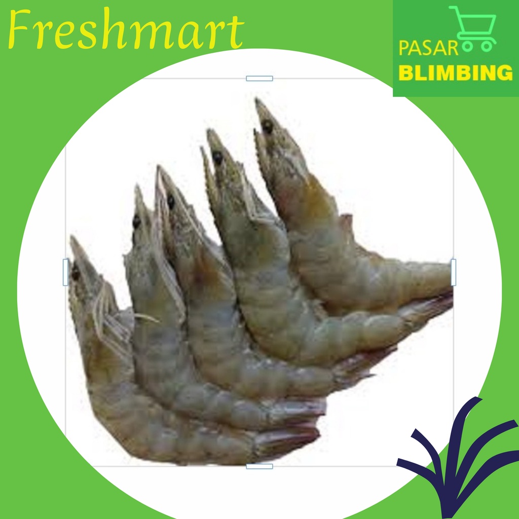 

Udang ukuran besar [Pasar Blimbing Malang]