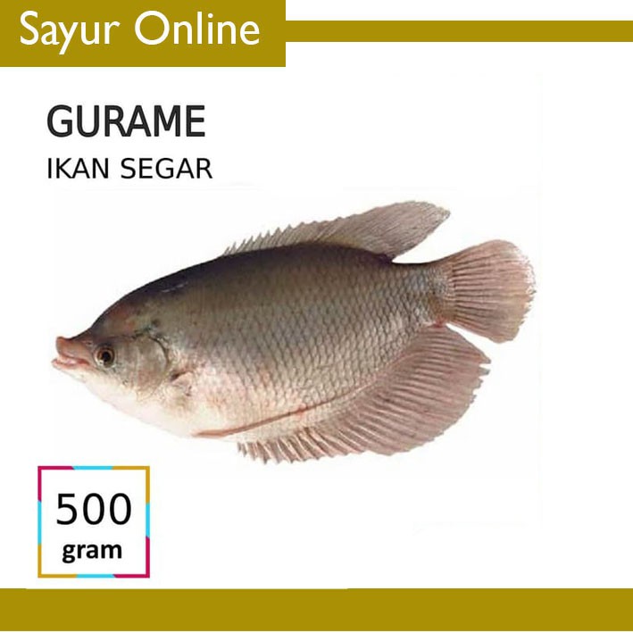 

IKAN GURAME [500g]