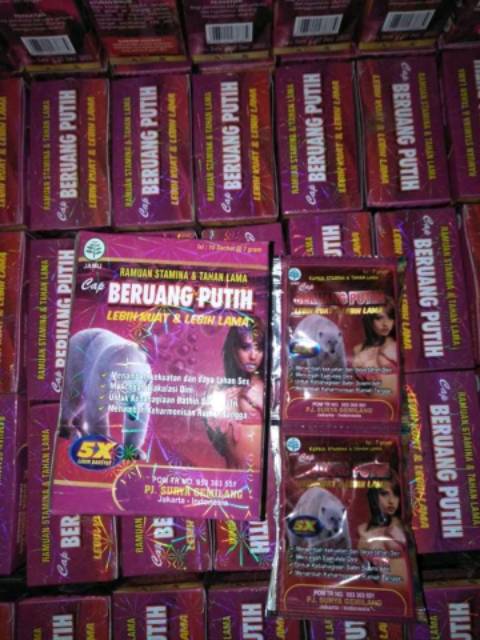 Beruang putih serbuk